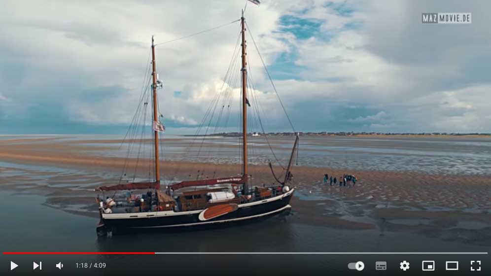 Video: Wattenmeersafari