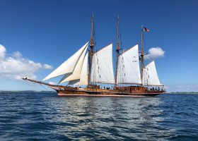 Clippers Amphitrite - 